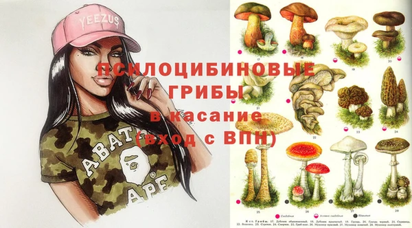 PSILOCYBIN Волоколамск