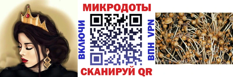 где купить наркотик  Высоцк  mega   Галлюциногенные грибы прущие грибы 
